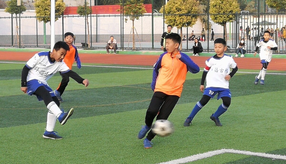 供了展示自 供了展示自