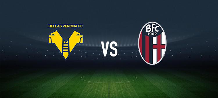 开始爱上高 开始爱上高