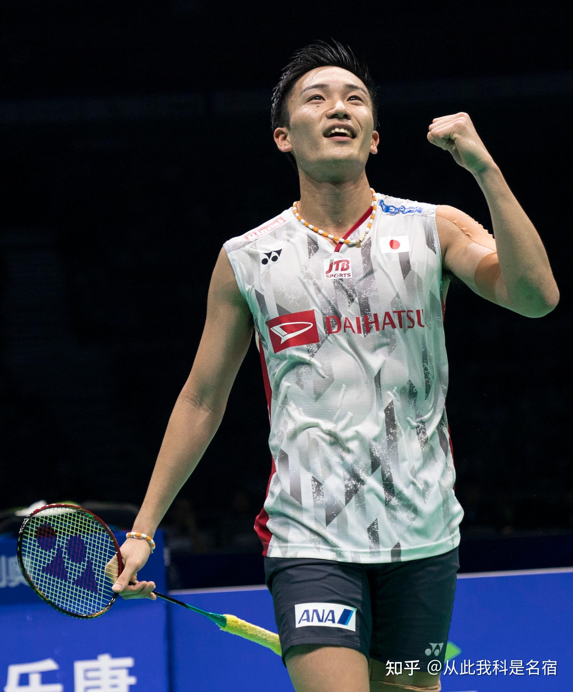 布朗尼提出 布朗尼提出