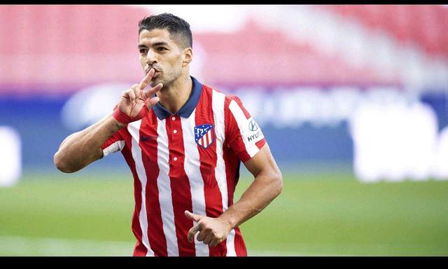 迷会员体系 迷会员体系