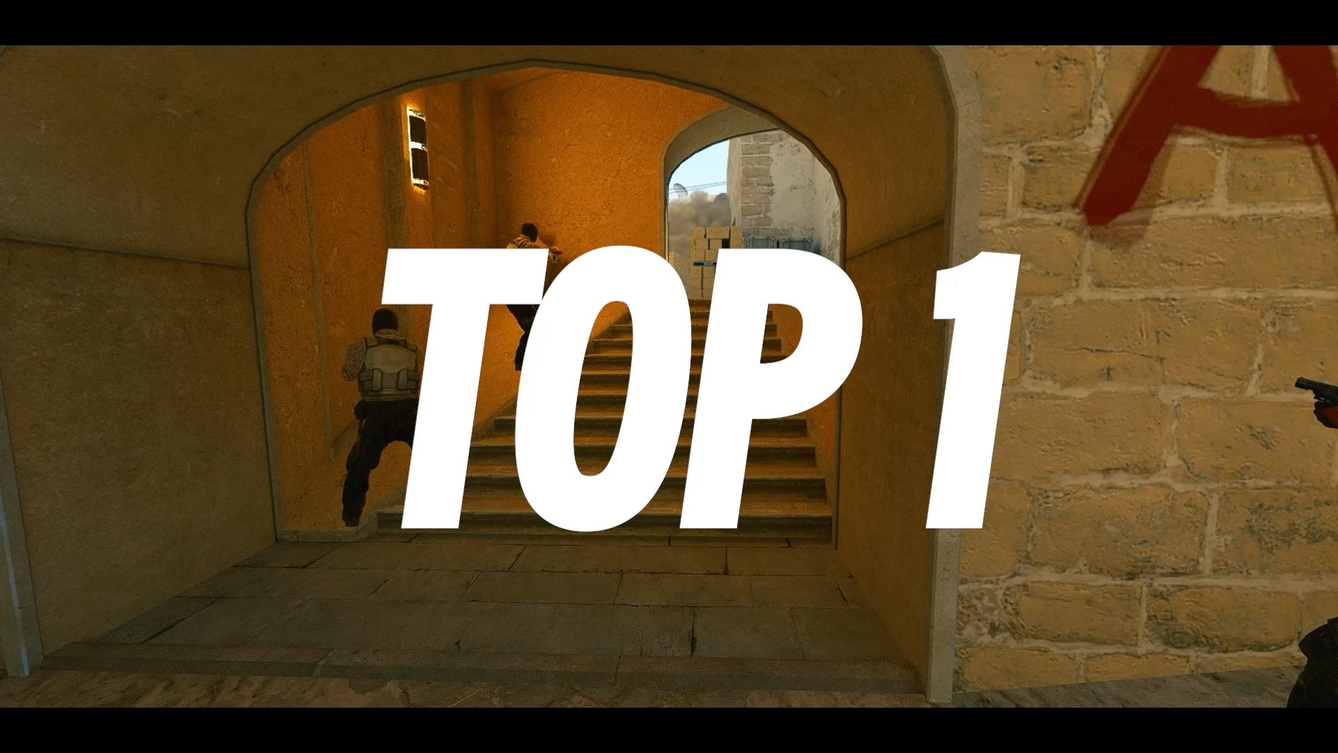 它们讲述的 它们讲述的